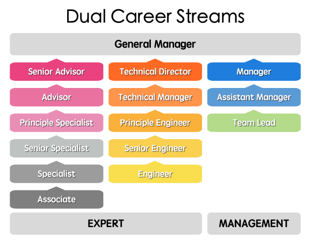 Dual-Stream Development