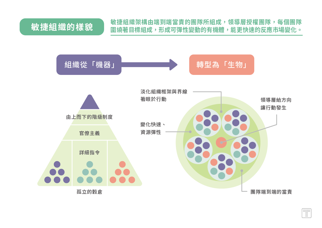 【敏捷組織的樣貌】敏捷組織架構由端到端當責的團隊所組成，形成可彈性變動的有機體